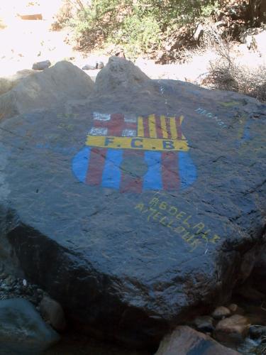 dima barca